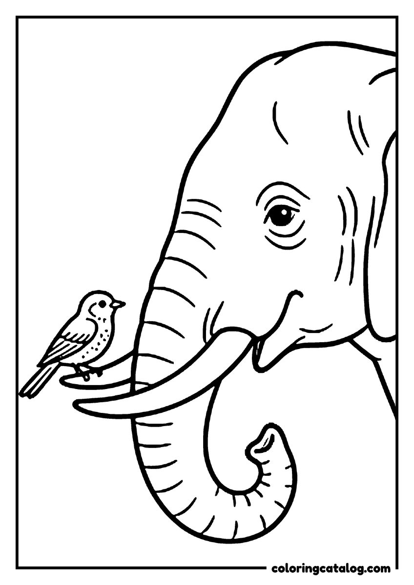 Coloring page: A close-up of an elephant's head with a small bird perched on the tip of its tusk