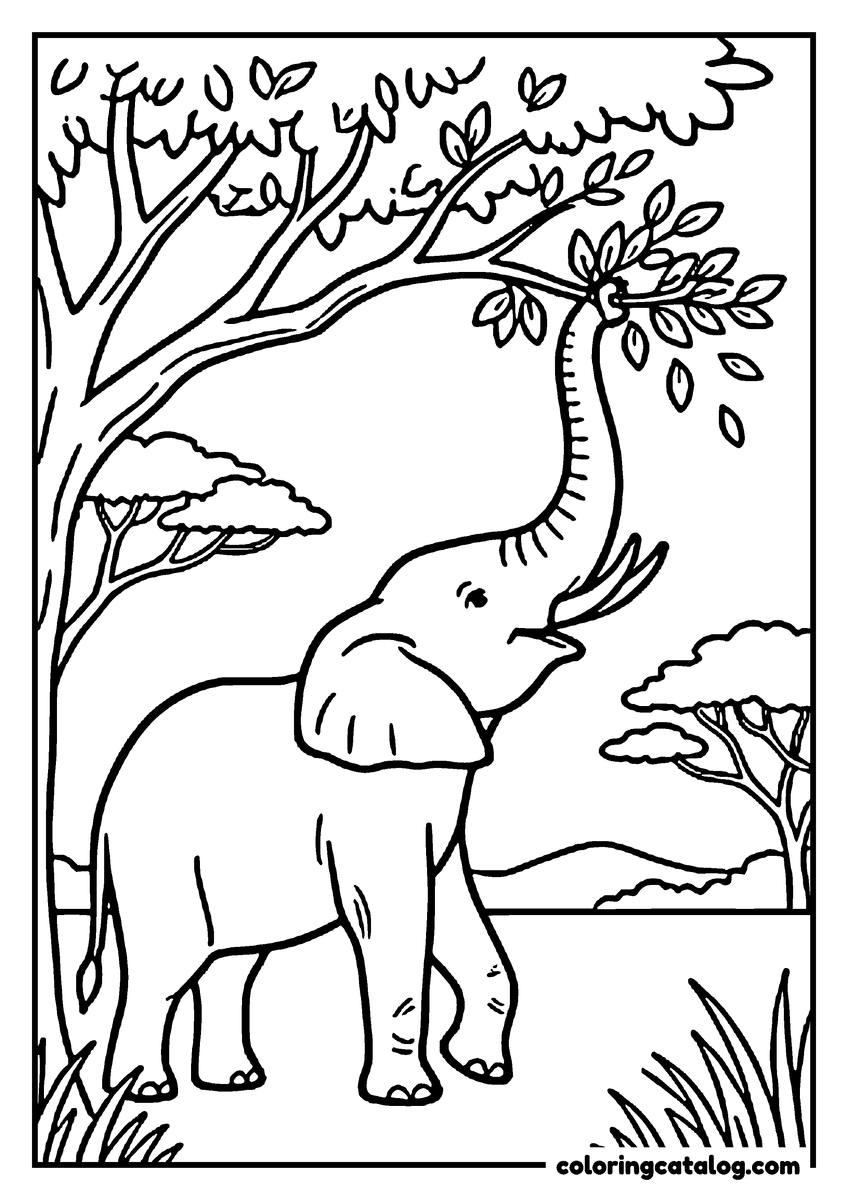 Printable coloring page: An elephant stretching its trunk high into an acacia tree to pull down a leafy branch