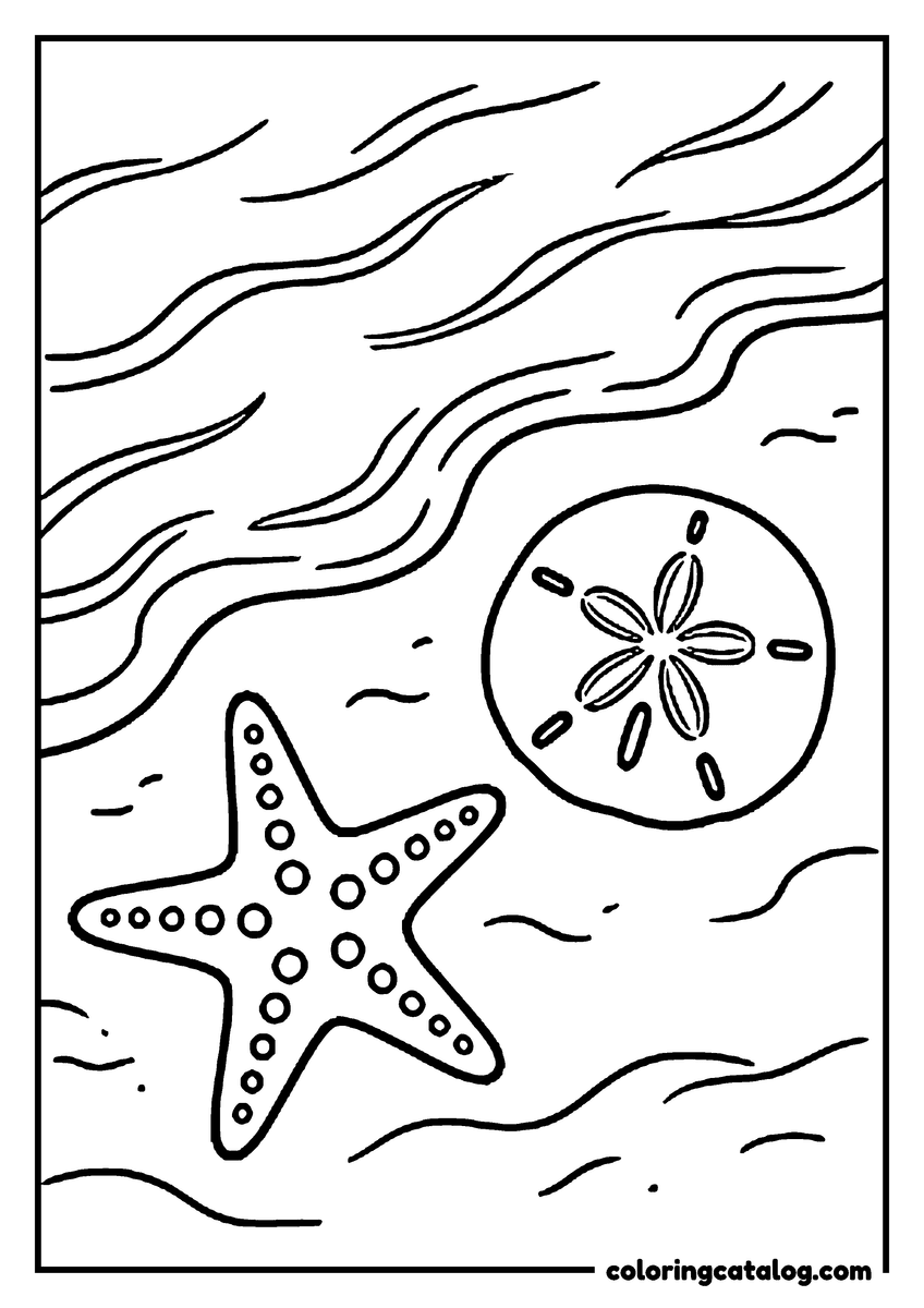 Dibujo de estrellas para colorear: una estrella de mar y una galleta de mar juntas sobre la arena mojada con ondas