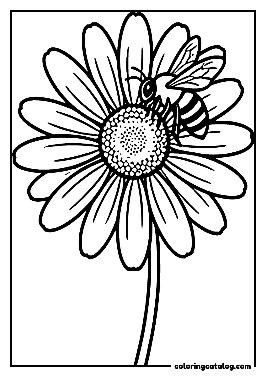 Dibujo para colorear de flores: una abeja descansa sobre el centro lleno de semillas de una margarita