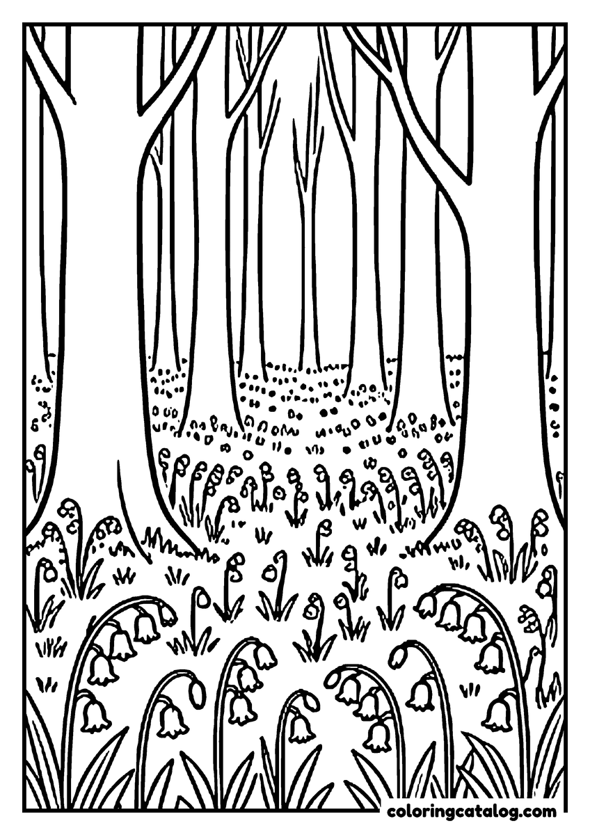 Forest coloring page: A carpet of bluebells beneath tall beech trunks
