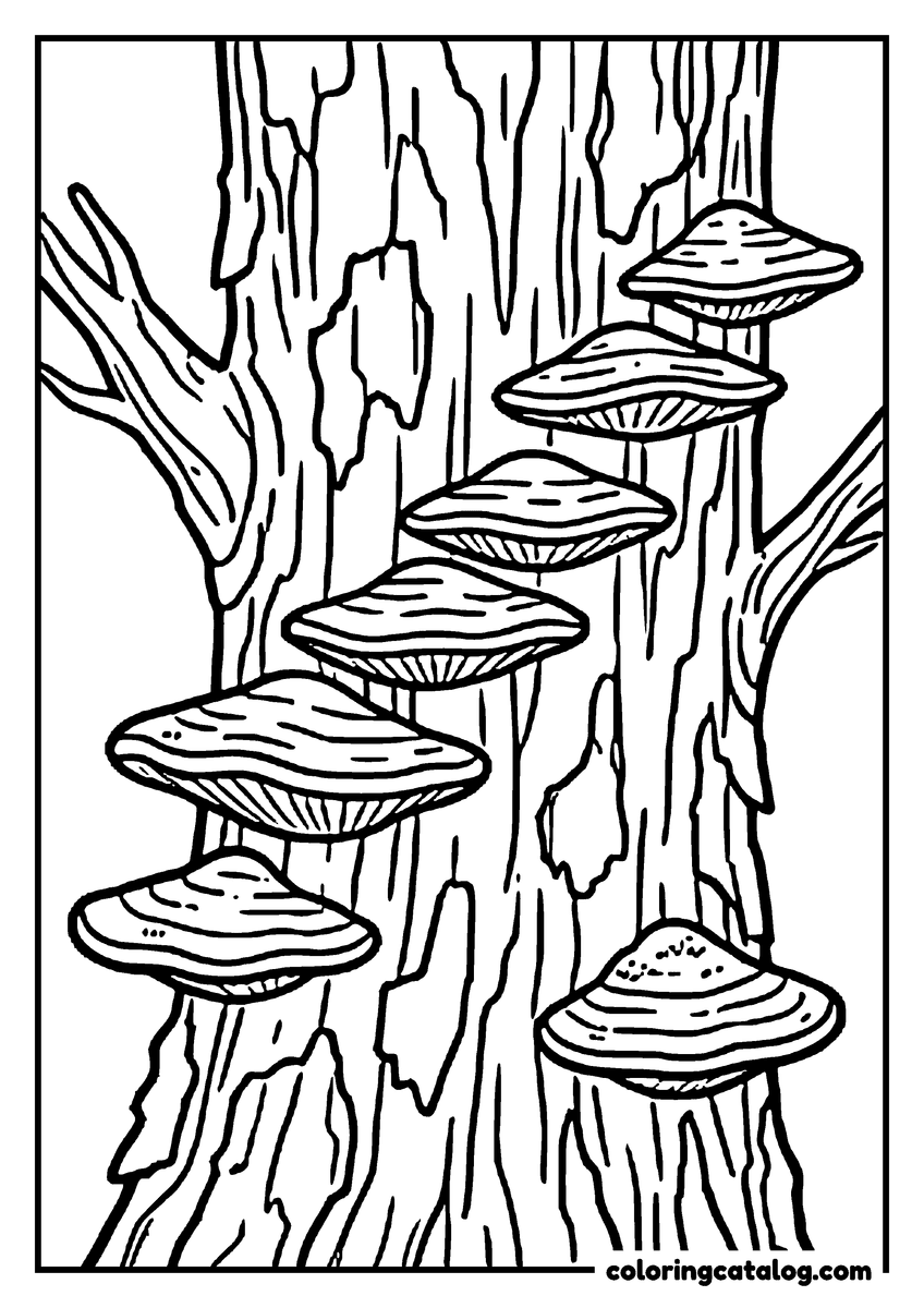 Printable Forest coloring page: Shelf mushrooms growing up the bark of an old tree