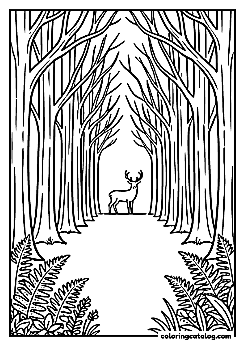 Forest coloring page: A stag standing at the end of a long avenue of tall trees with ferns in front