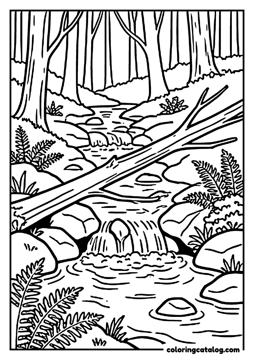 Free Forest coloring sheet: A fallen tree lying across a rocky stream with a small waterfall and ferns