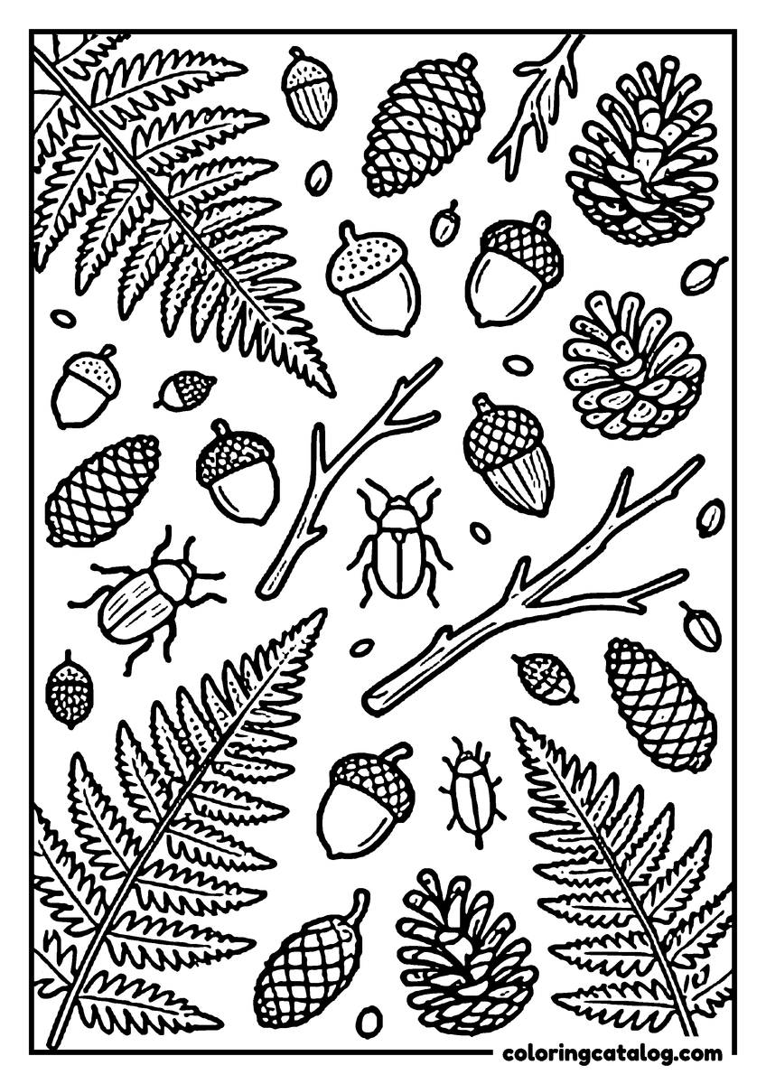 Forest coloring page: A page of ferns, acorns, pinecones, twigs and beetles