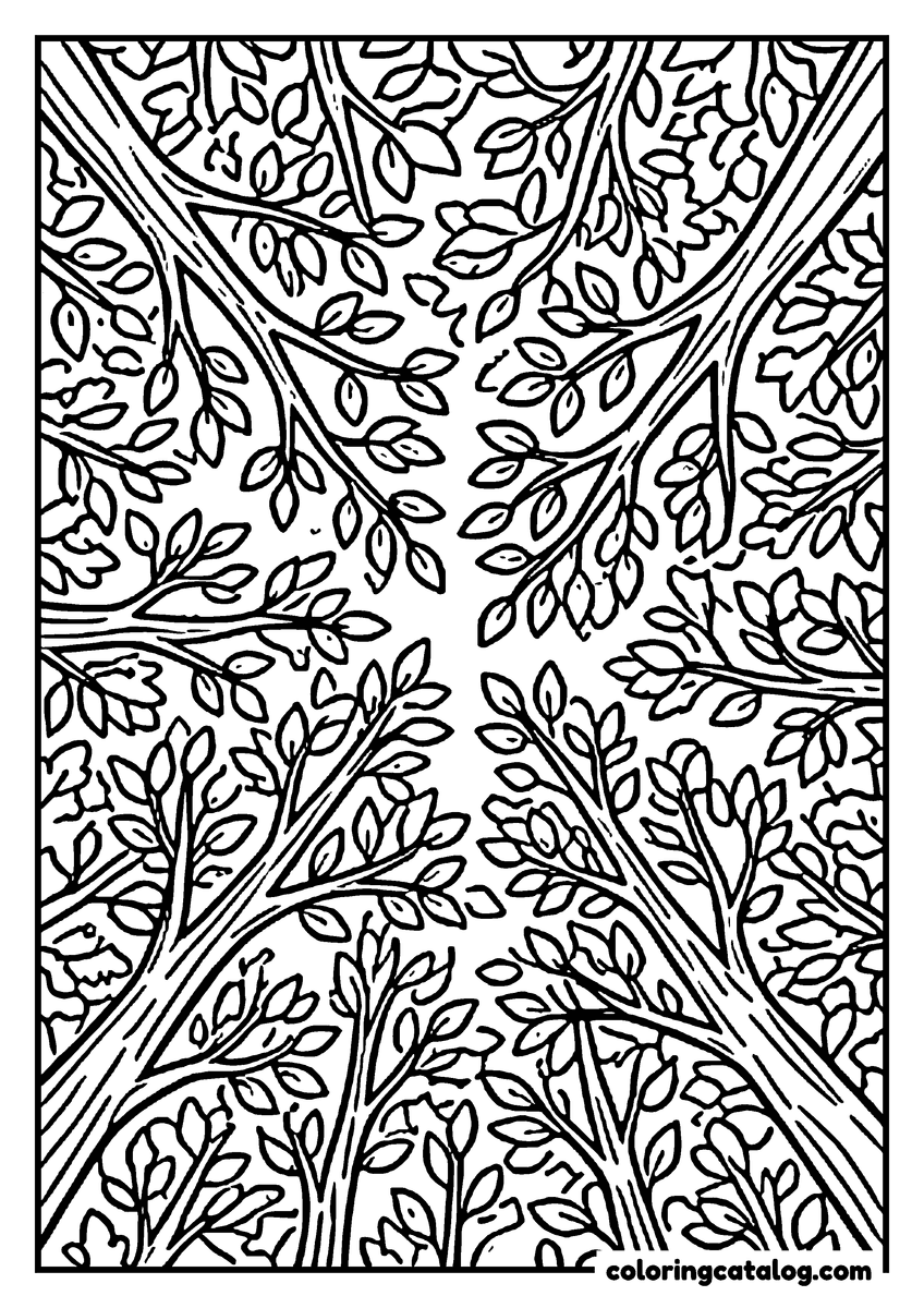 Free Forest coloring sheet: Looking straight up into a canopy of leafy branches