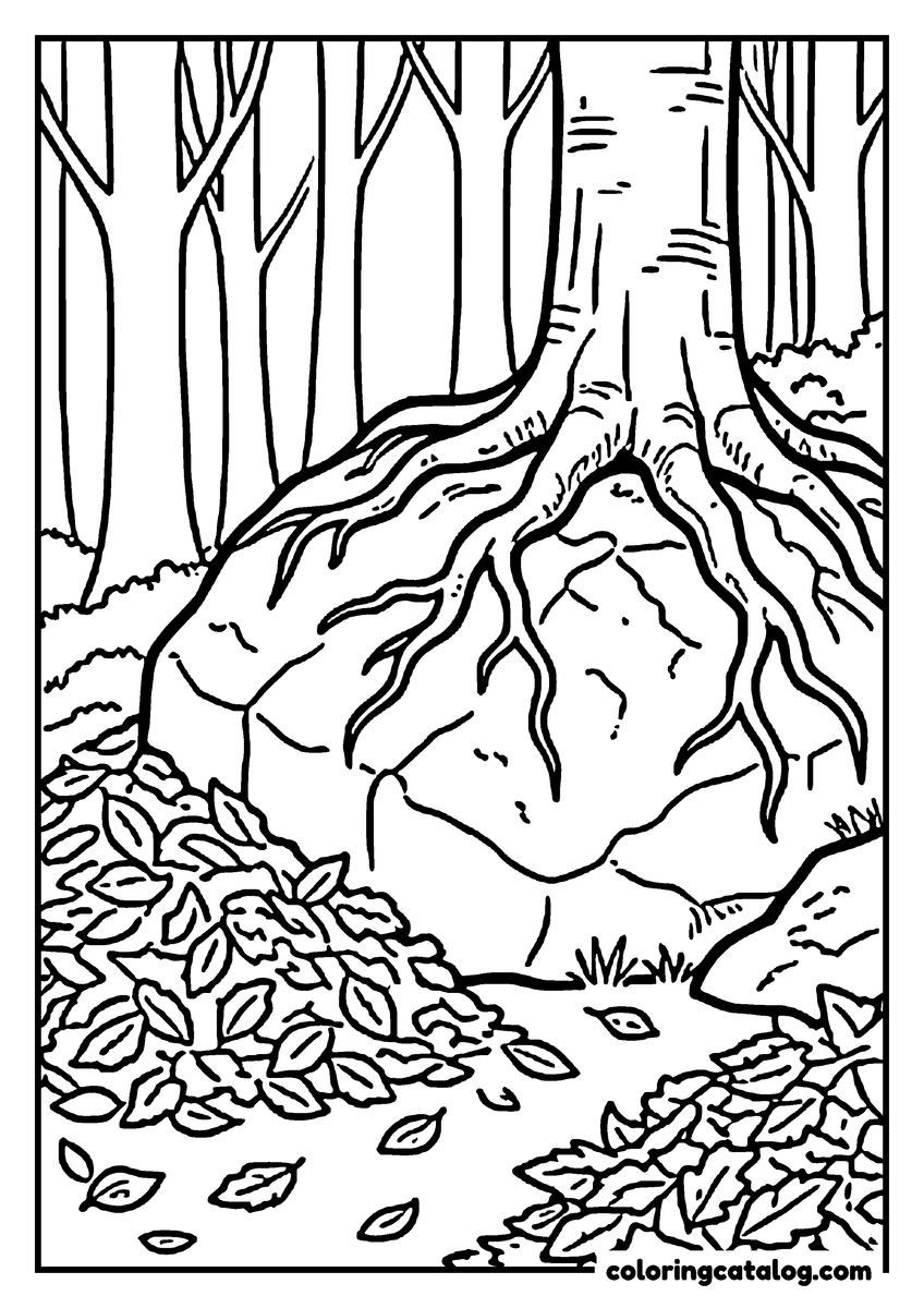 Forest coloring page: Thick tree roots gripping a mossy boulder with piles of fallen leaves