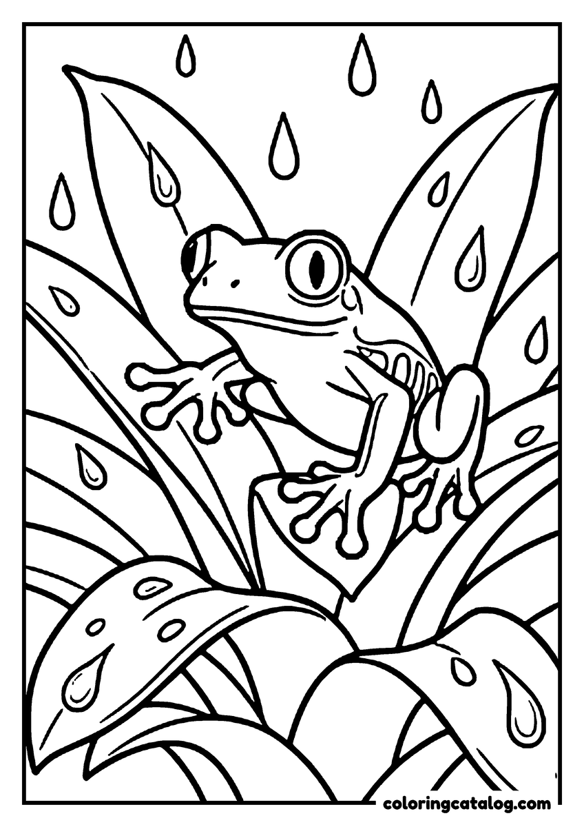 Free printable coloring sheet: A red-eyed tree frog perched on a bromeliad leaf with its toe pads spread, raindrops falling and beading on the leaves