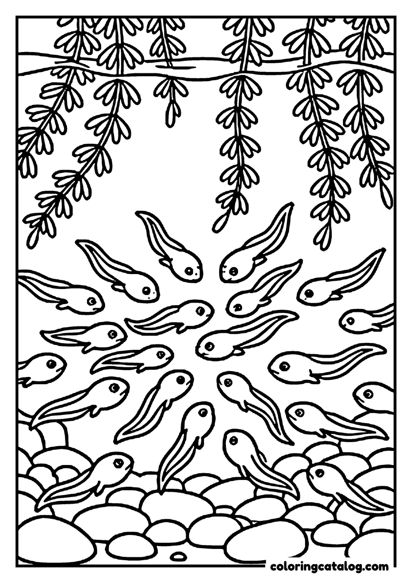 Printable Frog coloring page: A shoal of tadpoles swimming over a pond floor of pebbles, strands of pond weed hanging down from above