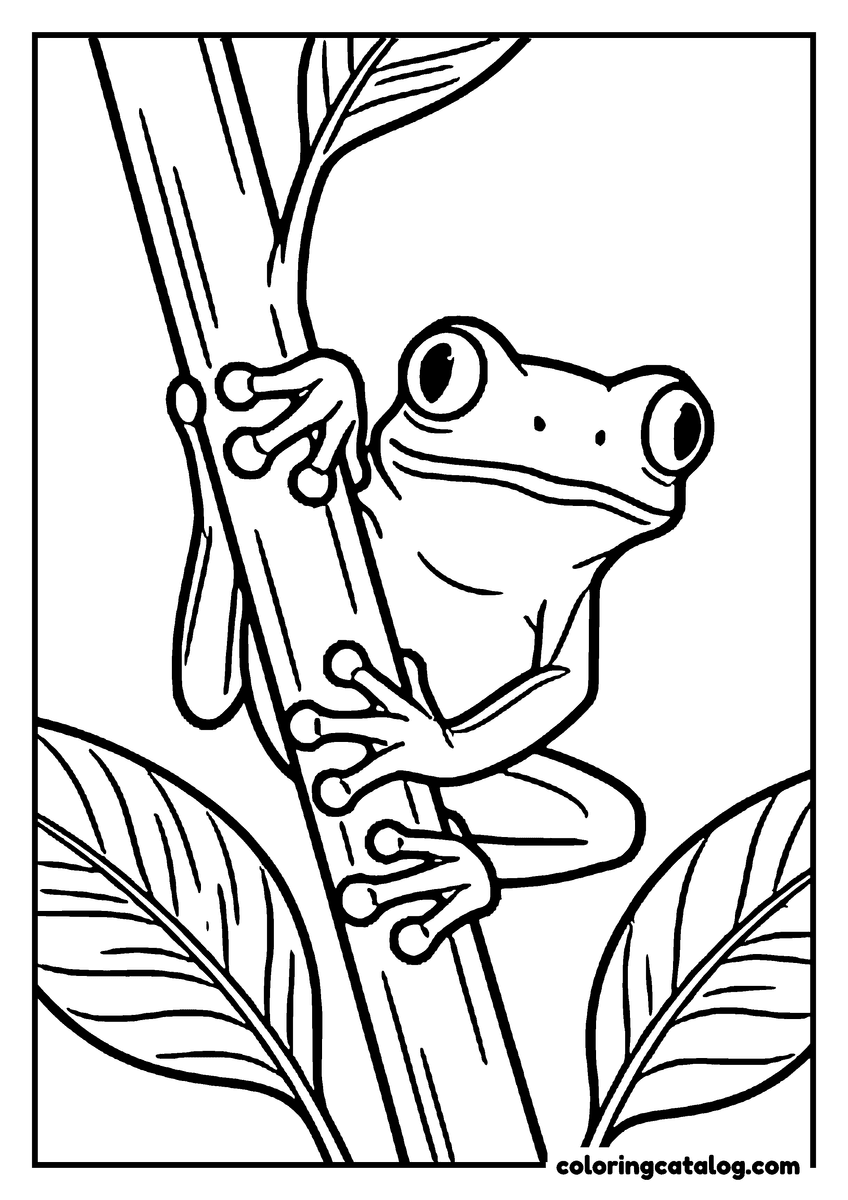 Free printable coloring sheet: A bug-eyed tree frog clinging to a smooth plant stem with the round pads of its toes, broad leaves on either side