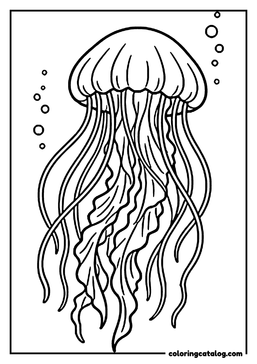 Coloring page: A jellyfish drifting with long flowing tentacles among bubbles