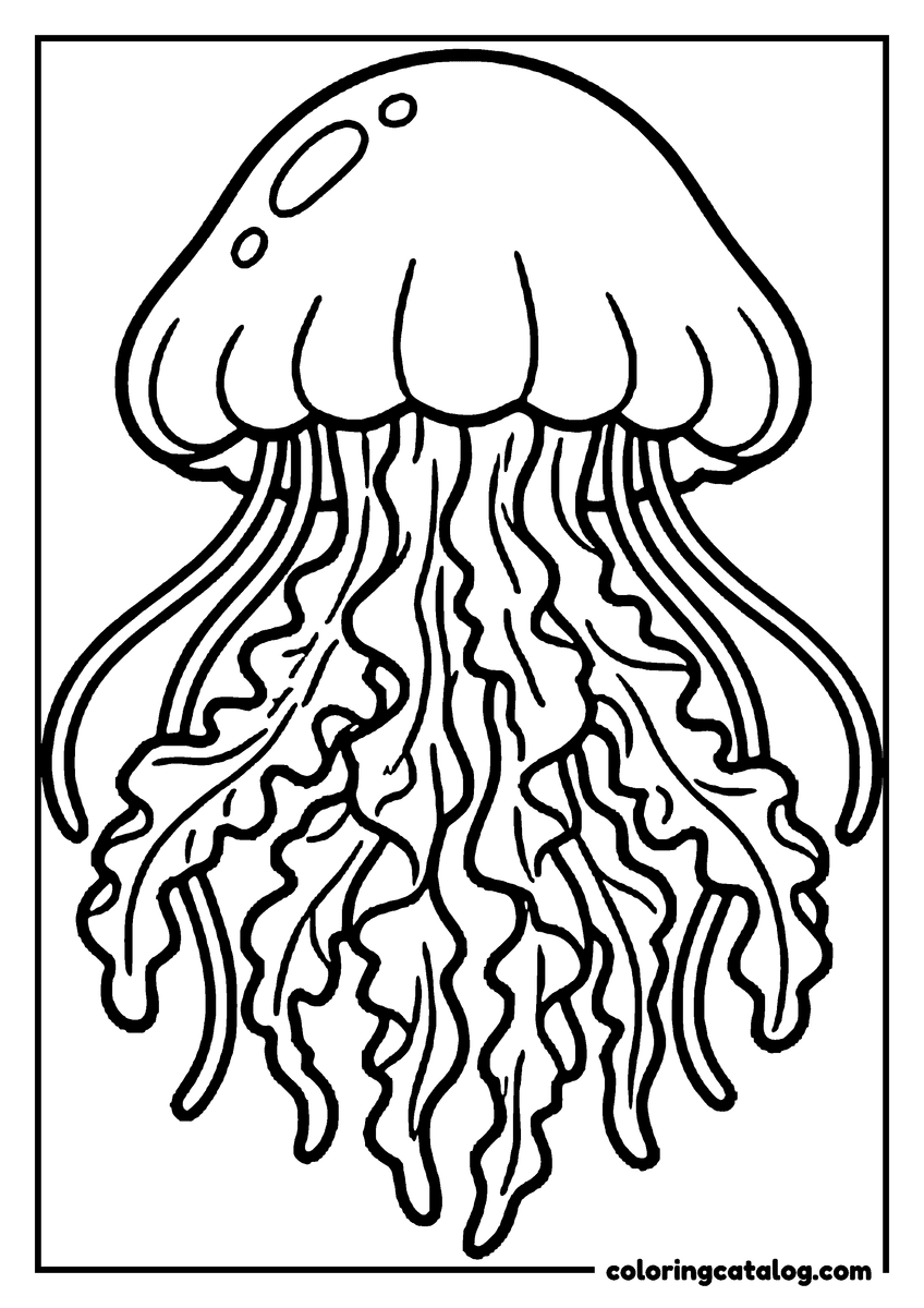 Printable coloring page: A jellyfish with frilly ruffled arms among its long tentacles
