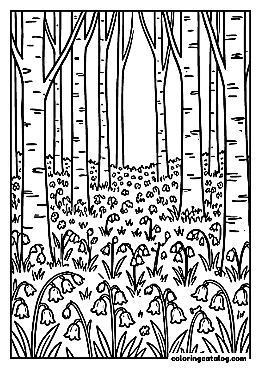 Nature coloring page of Bluebells carpeting the ground between slender tree trunks