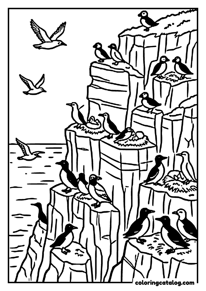 Nature coloring page of Puffins and seabirds nesting on the ledges of a sea cliff