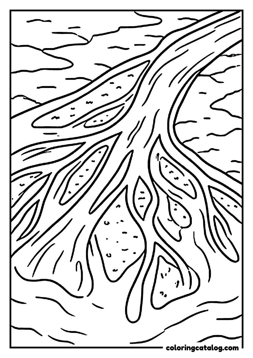 Nature coloring page of a river spreading into branching channels seen from above