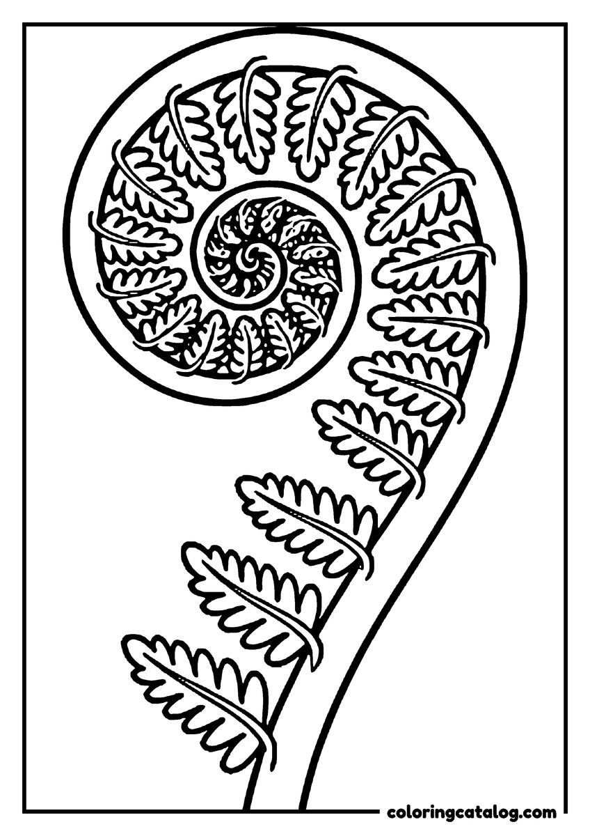 Nature coloring page of a fern frond uncurling in a spiral