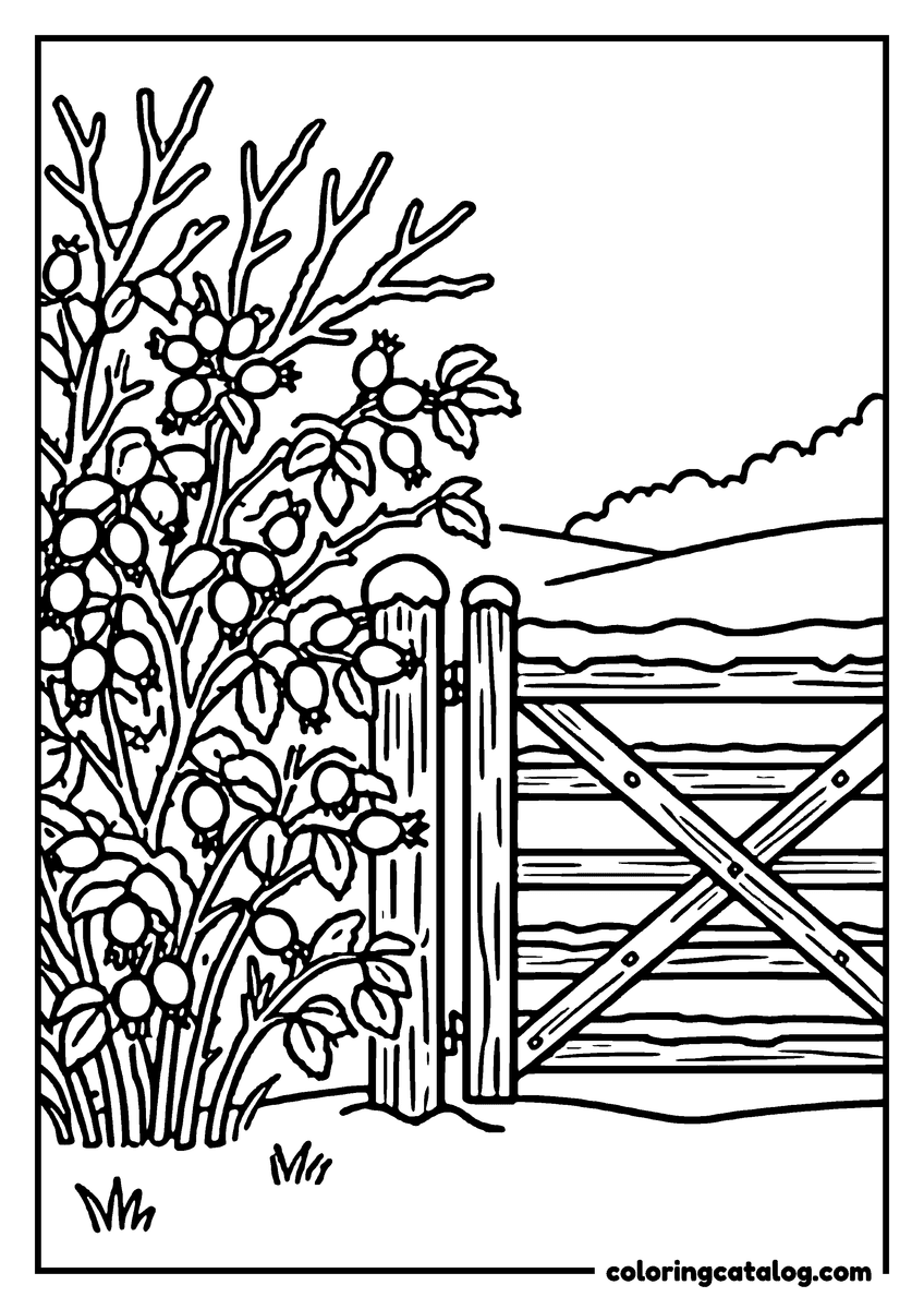 Free Winter coloring sheet: A hedge of rosehips under frost beside a five bar gate, the berries drawn one by one and the field white behind