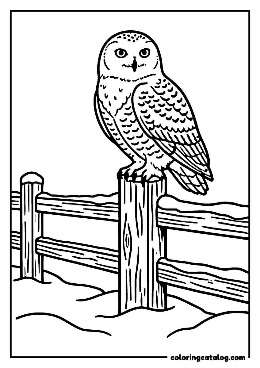 Printable Winter coloring page: A snowy owl perched on a fence post above a drifted field, the feathers laid in overlapping rows and talons gripping the wood