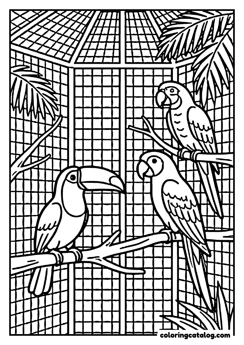 Zoo coloring page: A toucan and two macaws on branches behind the fine mesh of a tall aviary